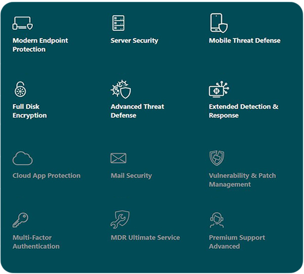 eset protect enterprise
