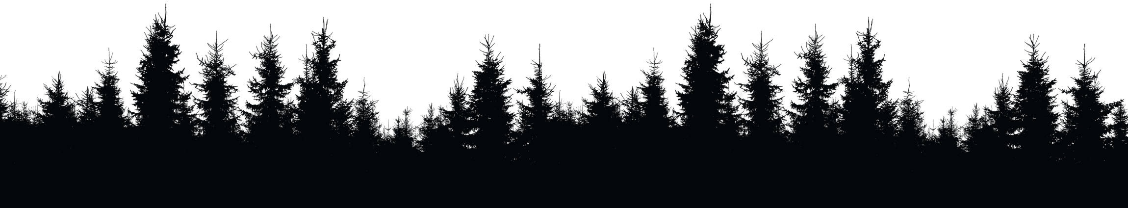 تخفیف مدیران شبکه برنا